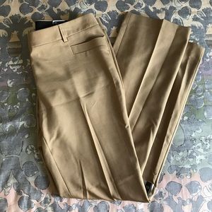 Express Columnist Dress Pants